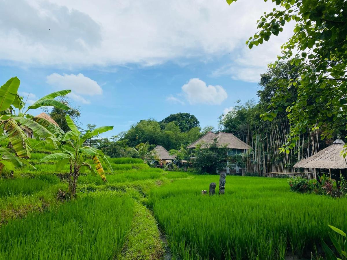 Kts Balinese Villas Canggu Exterior foto